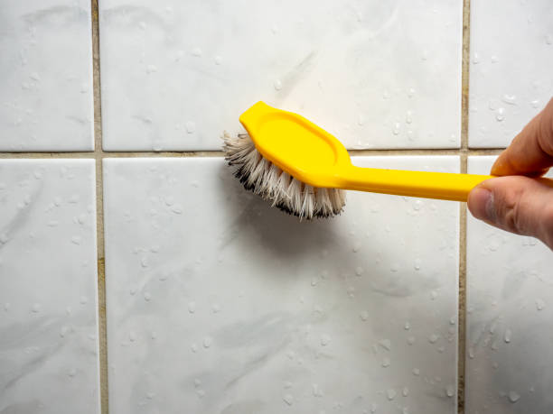 Best Professional Mold Removal  in Rankin, PA