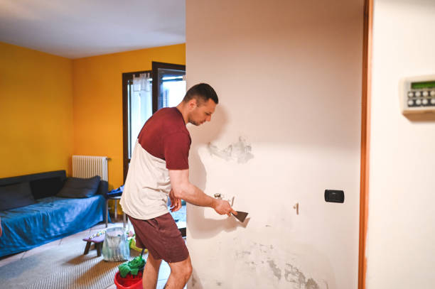Best Mold Damage Repair  in Rankin, PA